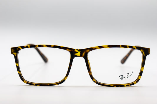 RayBan Tiger-RB3022 image 0