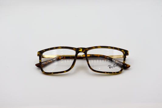RayBan Tiger-RB3022 image 1
