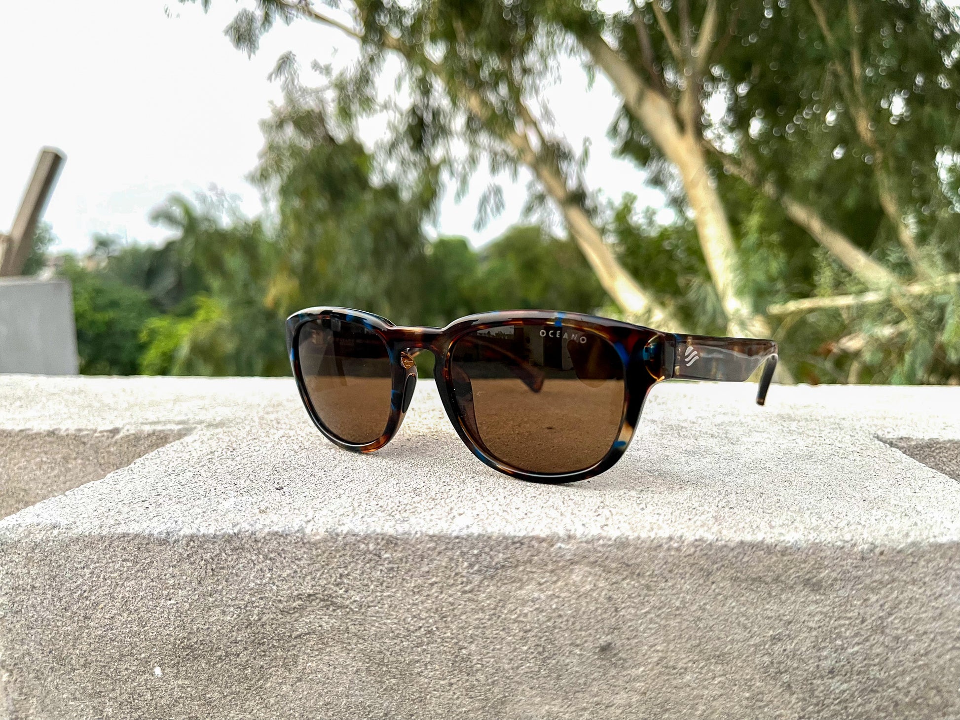 Summer - Polarized-OC035