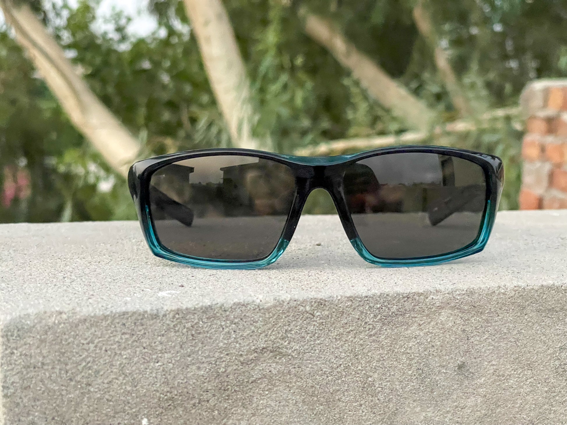 Malden Polarized  20231