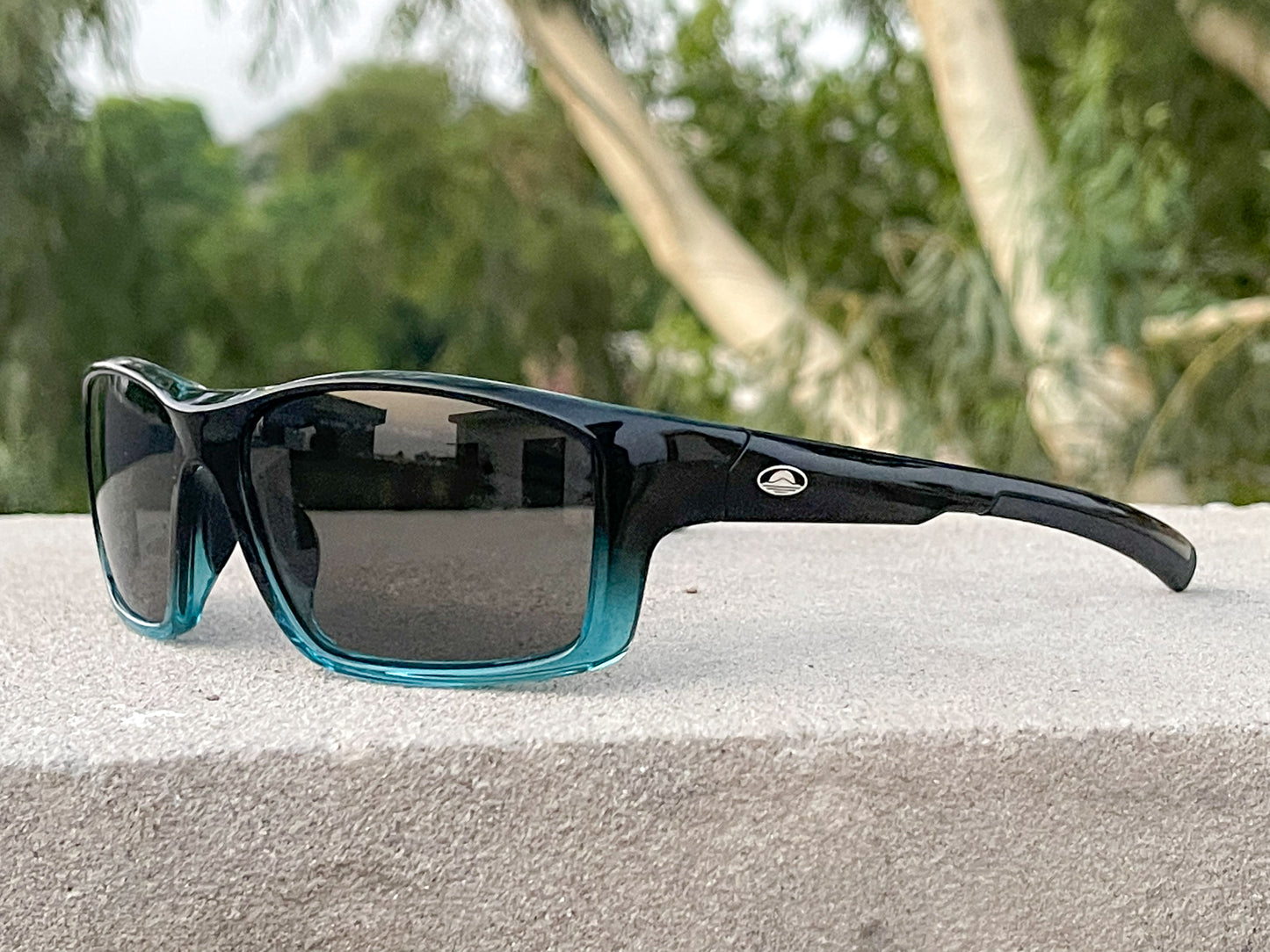 Malden Polarized  20231