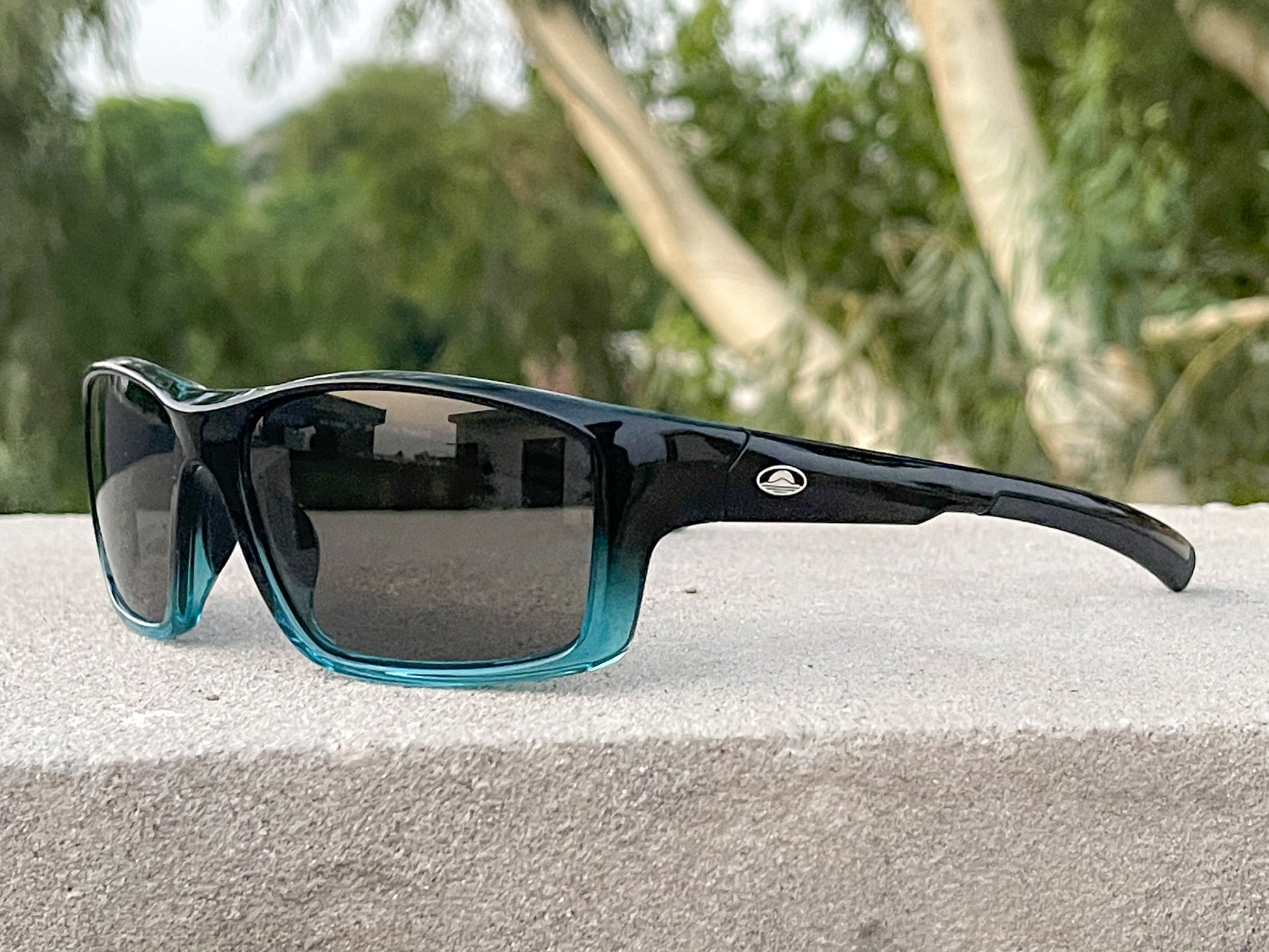 Malden Polarized  20231
