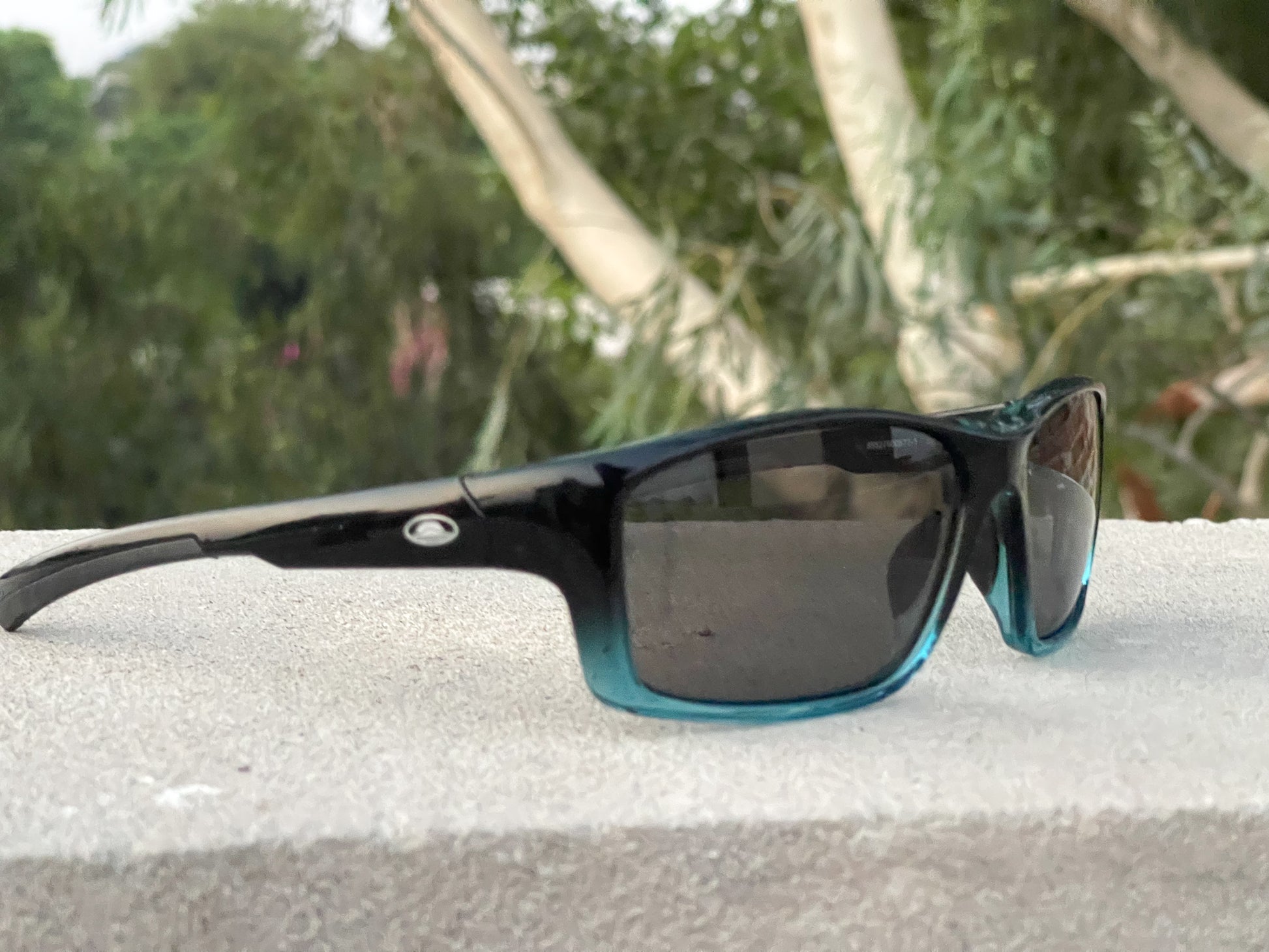 Malden Polarized  20231
